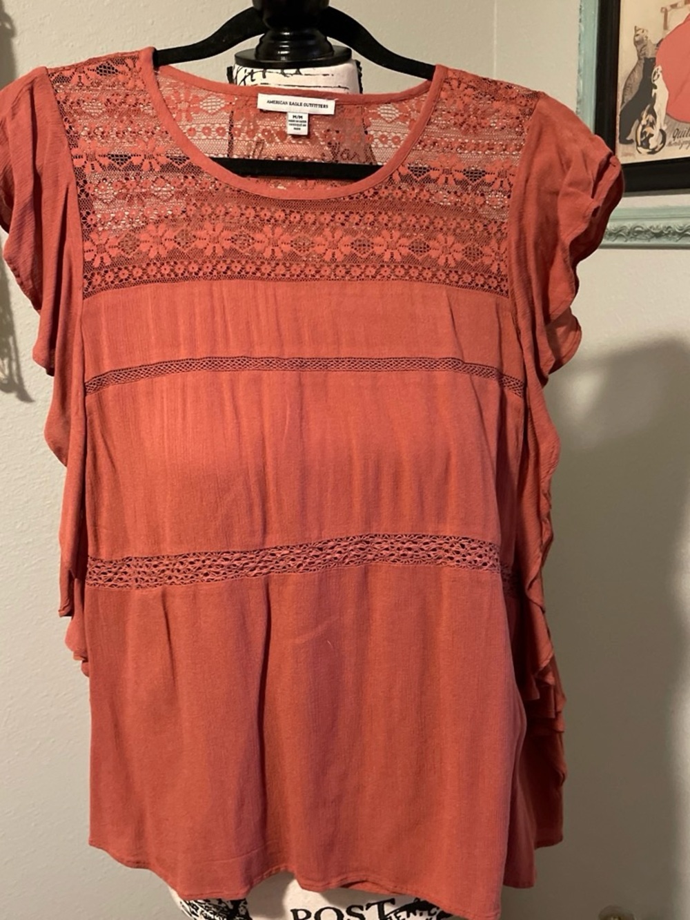 American Eagle Outfitters Rust Lace-Yoke Flutter Sleeve Top